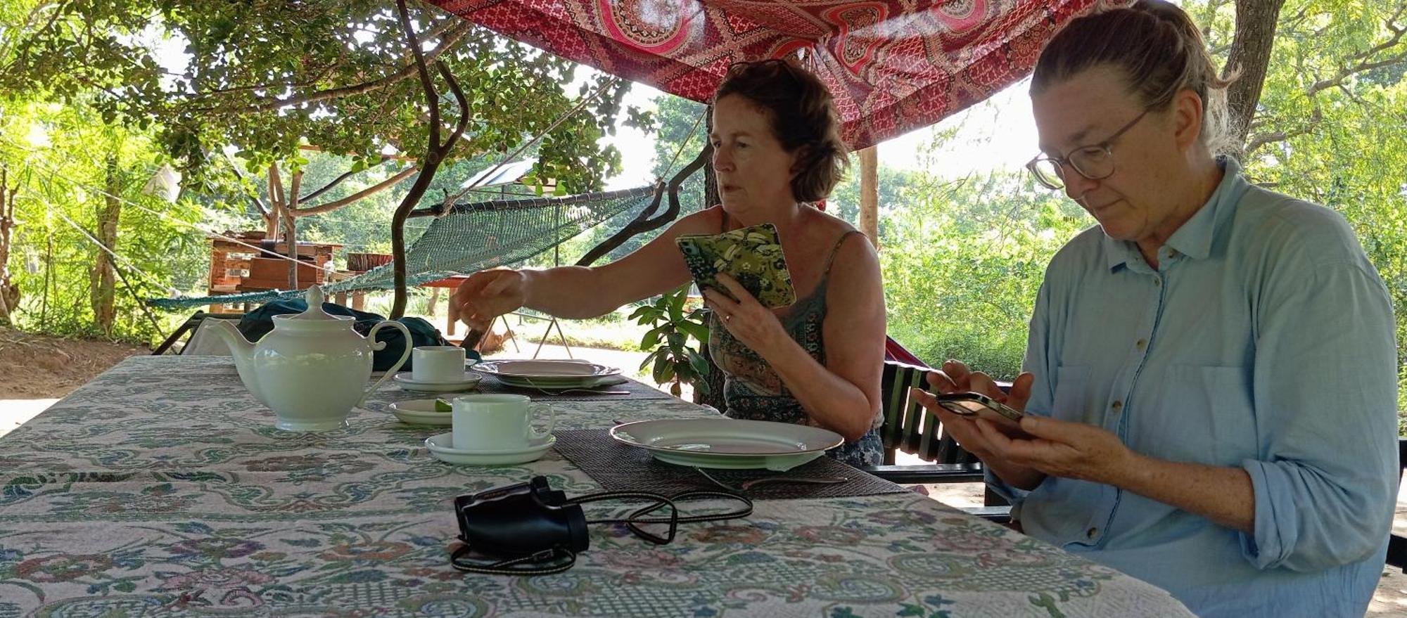 Jungle Cabin - Bundala Bundala Levagamgoda ห้อง รูปภาพ