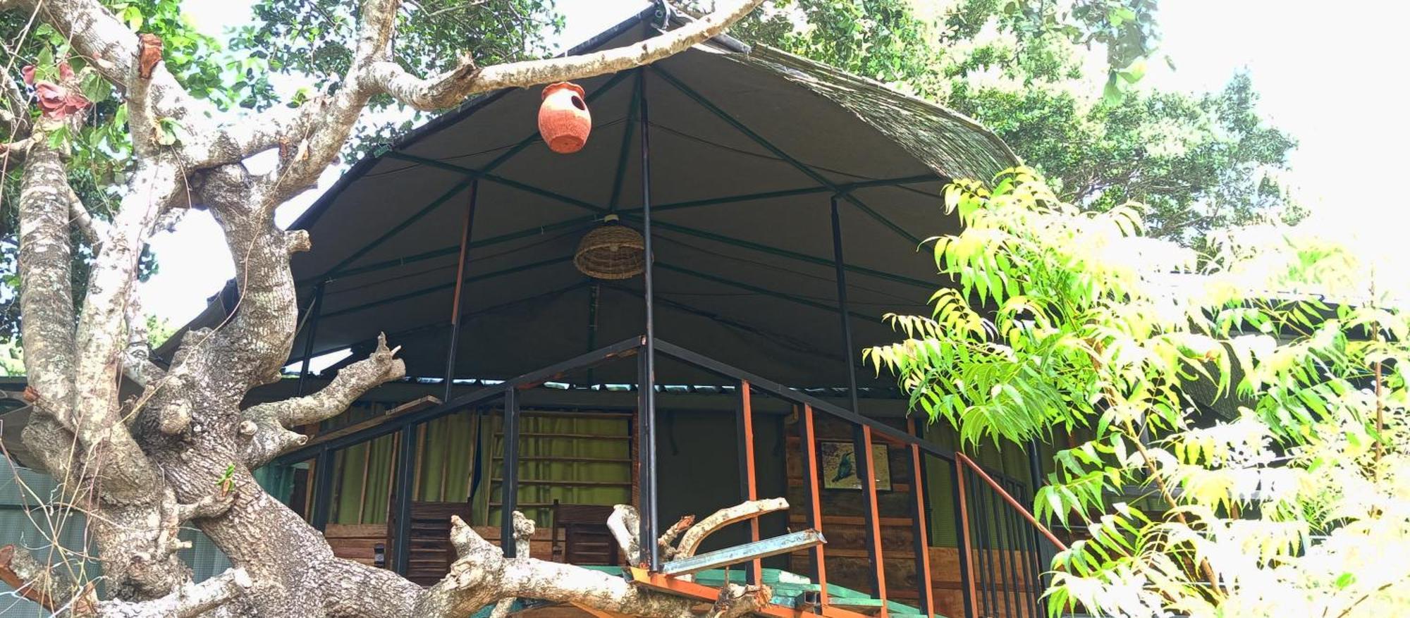 Jungle Cabin - Bundala Bundala Levagamgoda ภายนอก รูปภาพ